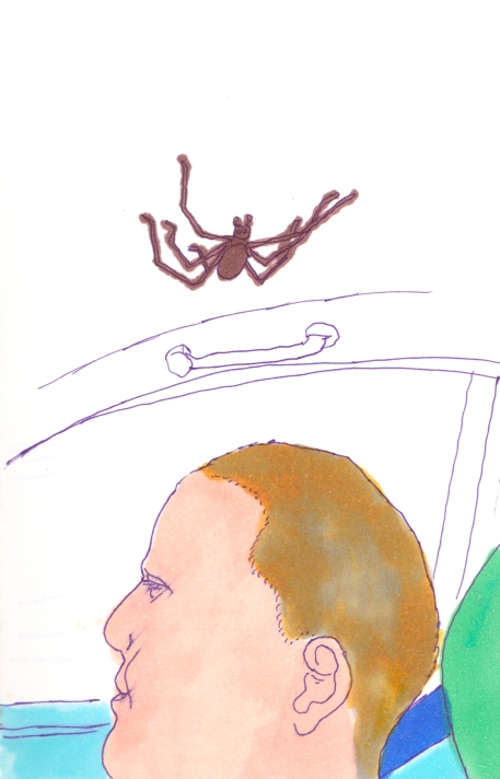 voiture-araignée